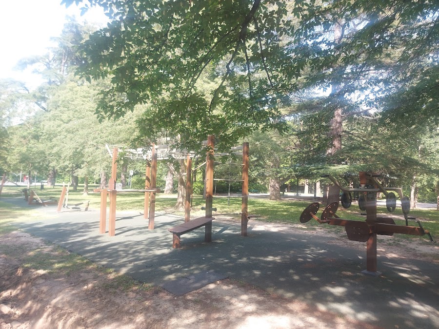 Sport Area