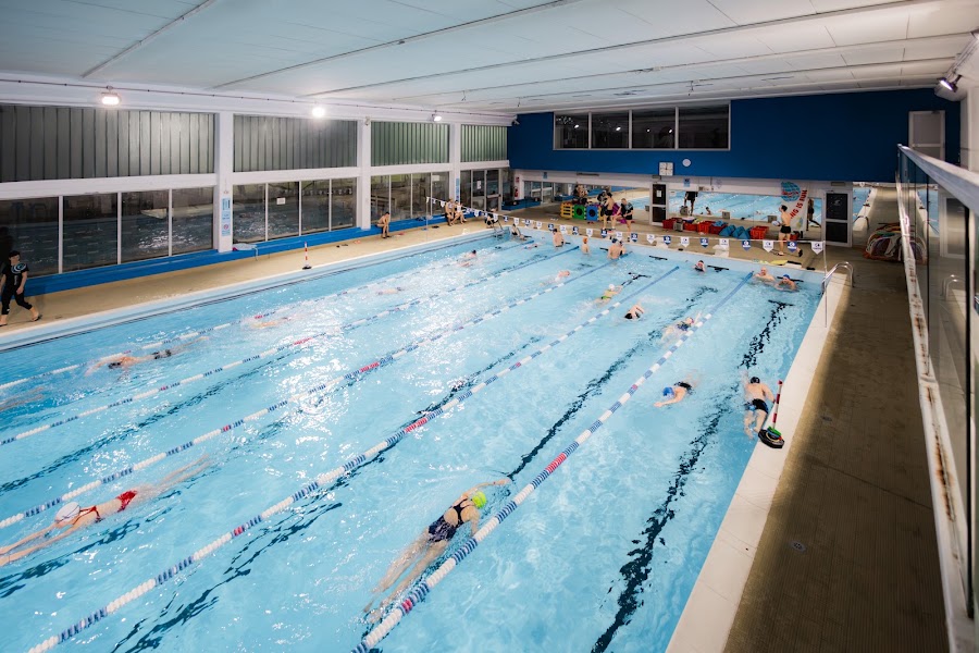 Stile Nuoto Quadri
