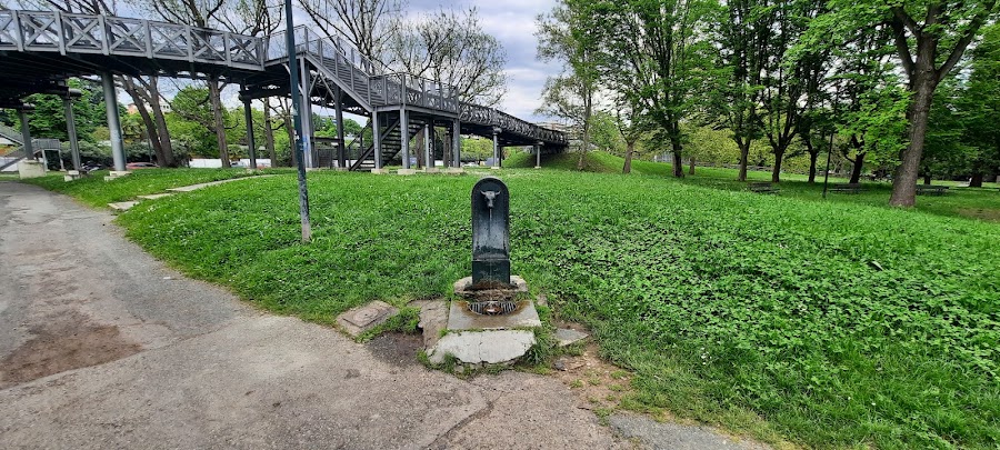 Free access to water
