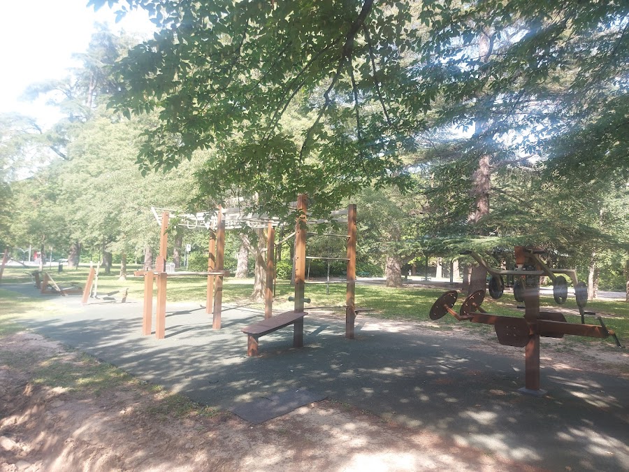 Sport Area