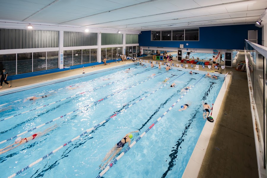 Stile Nuoto Quadri