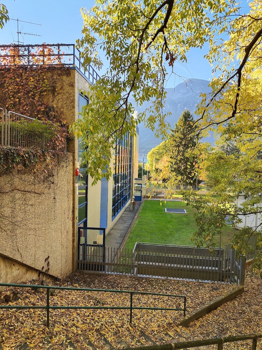 Vasca Olimpionica 50m