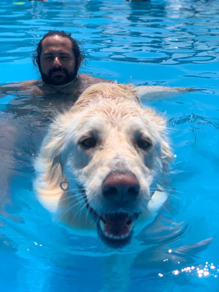 Dog Waterpark